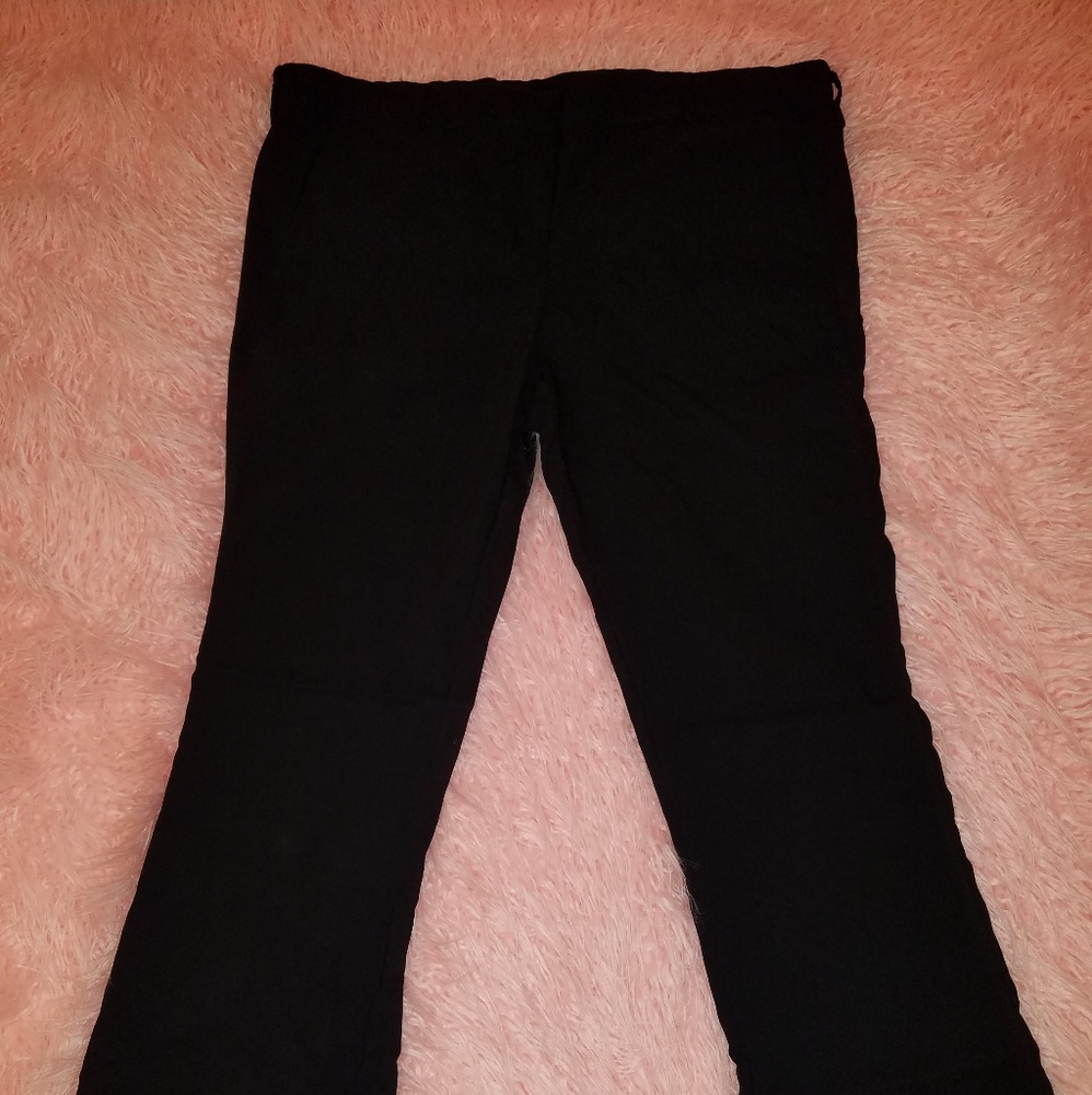 Lane Bryant Sophie bootcut stretch pants.  24 plus
